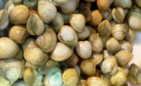 berberechos